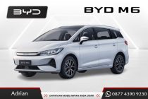 BYD M6