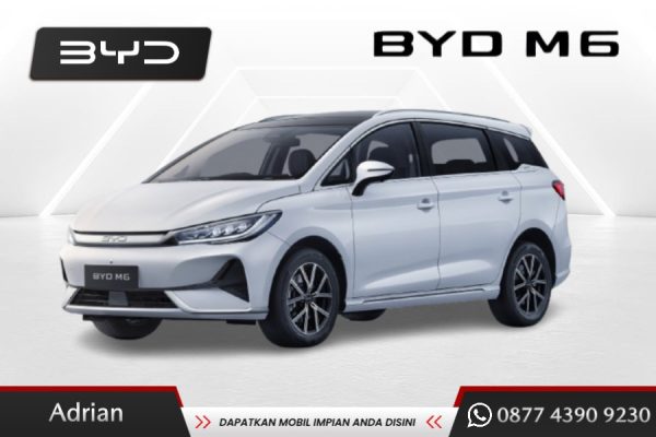 BYD M6