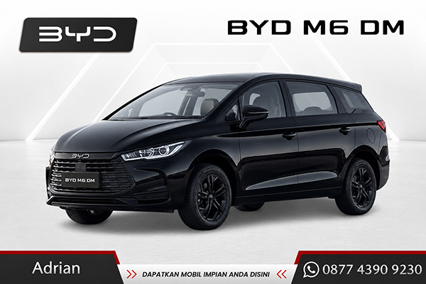 BYD M6 DM